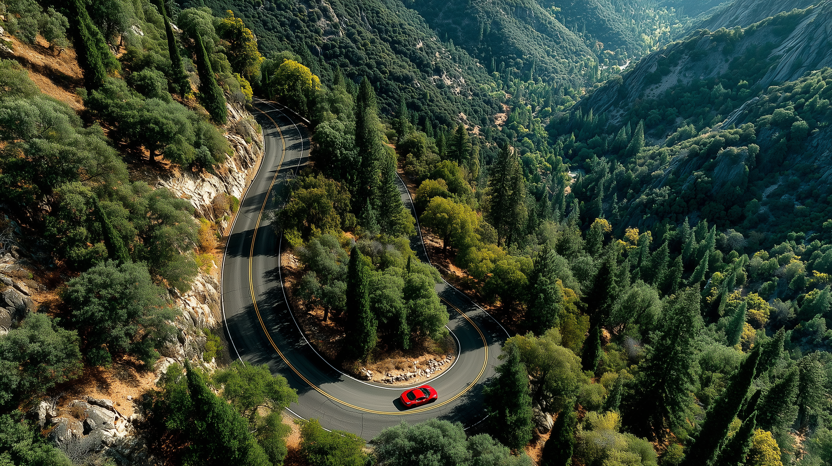 Decentralized AI Network